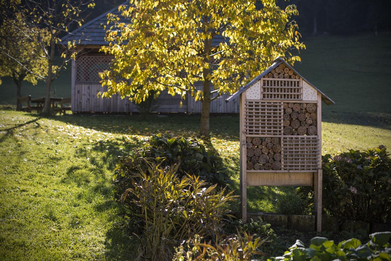 Eco Tourist Farm Ravnjak Slovenj Gradec Eksteriør bilde